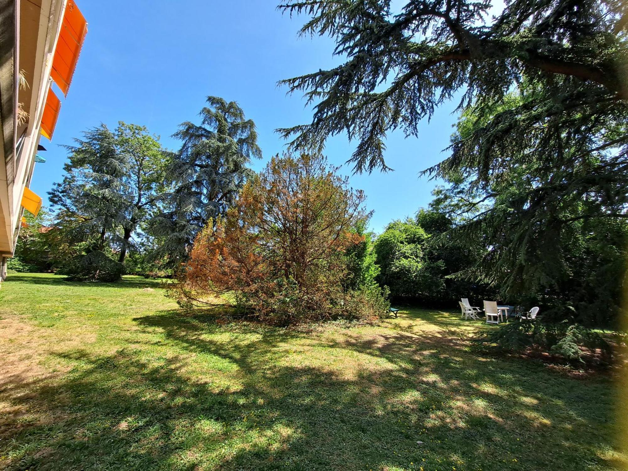 Le Duc De Savoie Thonon-les-Bains